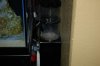 DSC_0525.JPG
