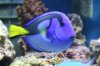 dORY SMALLER (Small).jpg