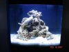 DSC06696.JPG