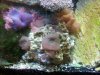 100_0221.jpg