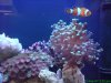 DSC00170.jpg