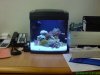DSC00169.jpg