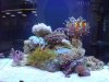 DSC00168.JPG