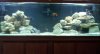 100 gallon 2-10-07.jpg