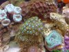 DSC00176.jpg