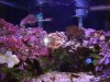 n55805690_30443146_5113.jpg