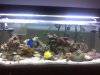 my tank 4.13.2007.jpg