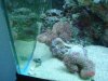 DSC01433.JPG