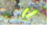 untitled2.JPG