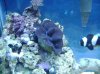 DSC00639.JPG
