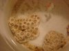 coral2.jpg