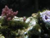 PICT0101.JPG