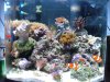 Sized down dorm tank.jpg