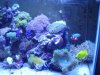Tony's tank 007 Comp.jpg