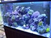 Tony's tank 009 Comp.jpg