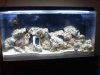 aquarium 006.jpg