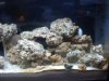 aquarium 008.jpg