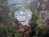 DSCN1089.JPG