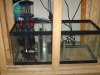 45g tall Tank Build 001.jpg