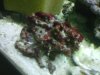 IMG00110-20101218-2021.jpg