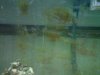 IMG00114-20101226-2052.jpg