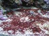IMG_2061MED.jpg