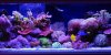 FTS1.jpg