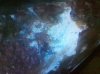2011-01-03_00-29-17_459.jpg