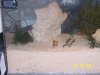 Custom Sump 40G acrylic 003.jpg