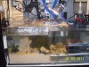 Custom Sump 40G acrylic 001.jpg