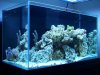 100_0825.jpg