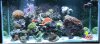 FISH TANK.jpg
