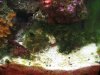 tank and power floater 004.jpg
