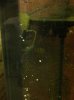 IMG-20110104-00044.jpg