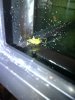 IMG-20110104-00045.jpg