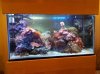 2010-12-20_16-52-29_209.jpg