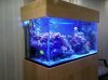 2010-12-20_16-52-45_699.jpg