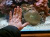 2010-12-20_16-56-38_579.jpg