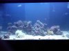FTS_after scrubIMG00052-20110105-2211.jpg