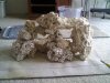 downsized_0709001516.jpg