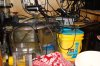 DSC01705.jpg