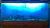 100_0027.jpg