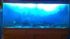 100_0026.jpg