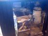 sump 1.jpg