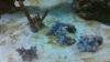 100_0028.jpg