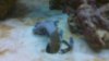100_0029.jpg