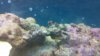 100_0030.jpg