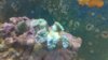 100_0032.jpg