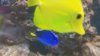 100_0033.jpg