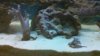 100_0042.jpg